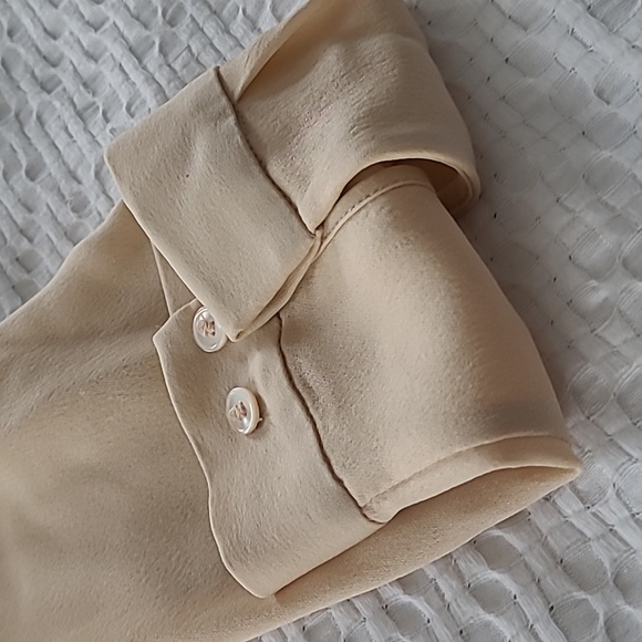 Babaton silk dress - Picture 4 of 4